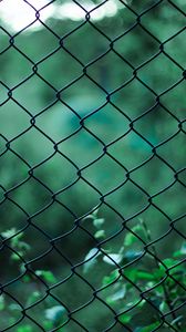 Preview wallpaper mesh, lattice, blur, plants