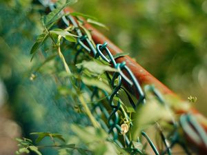 Preview wallpaper mesh, metal, grass, wreath