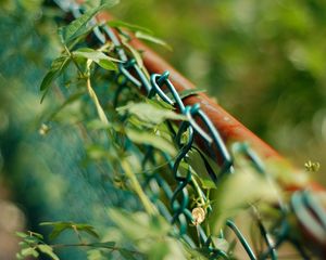 Preview wallpaper mesh, metal, grass, wreath