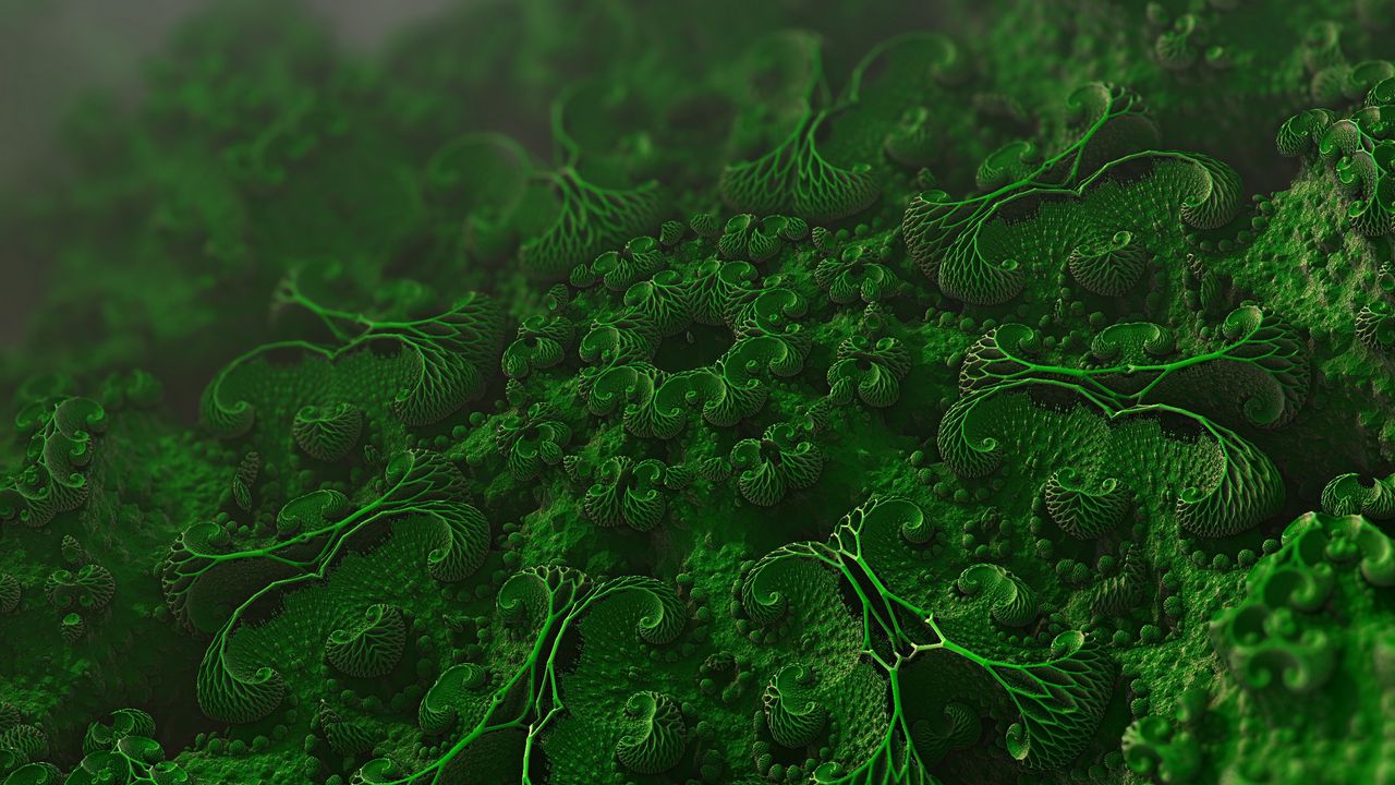 Wallpaper microorganisms, cells, microscopic, microbiology, bacteria