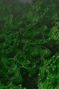 Preview wallpaper microorganisms, cells, microscopic, microbiology, bacteria