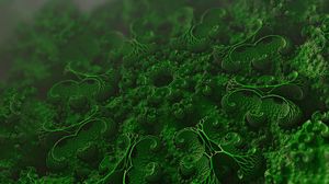 Preview wallpaper microorganisms, cells, microscopic, microbiology, bacteria
