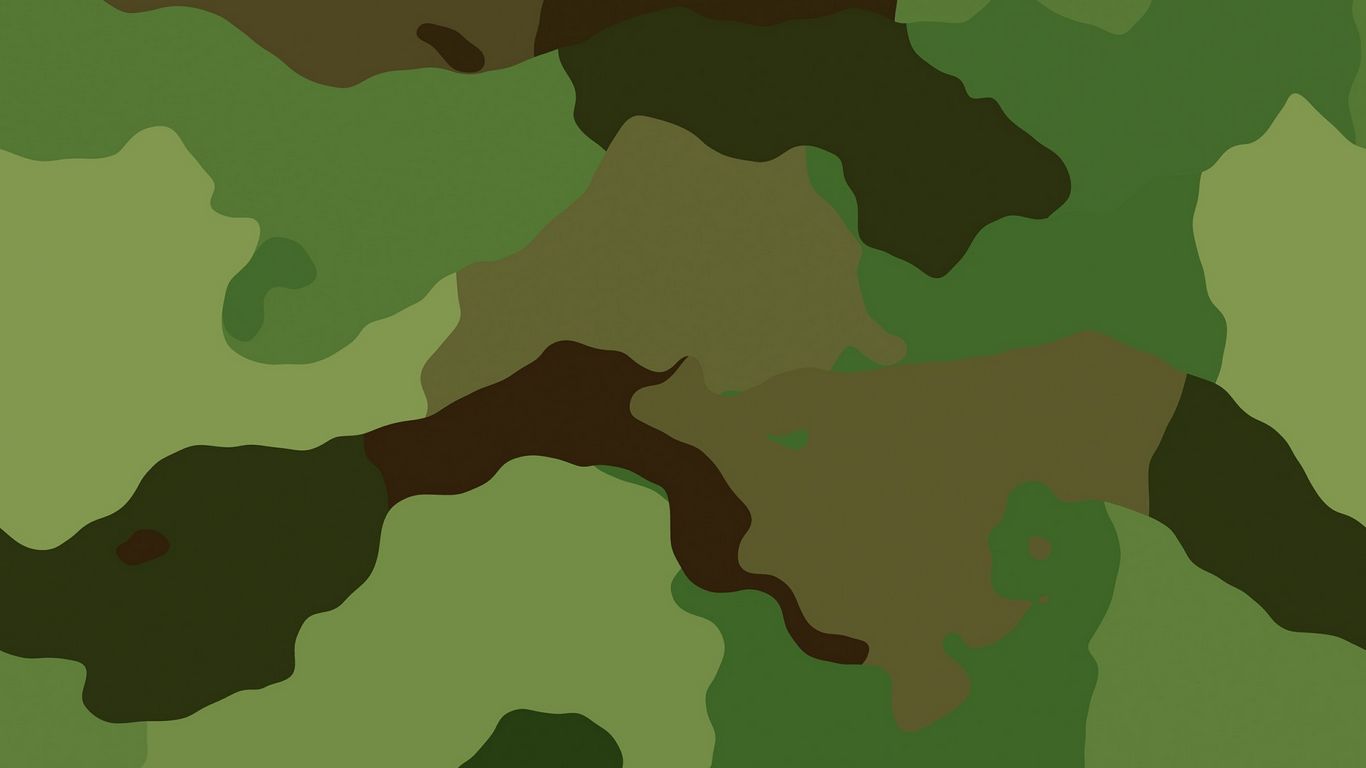 1366x768 Wallpaper military, camouflage, texture, patterns