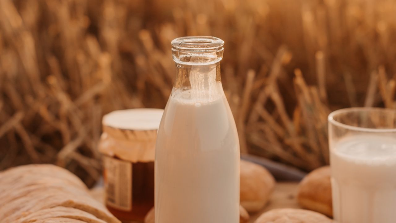 Wallpaper milk, bottle, field, picnic