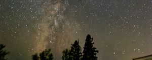 Preview wallpaper milky way, night, trees, stars, starry sky