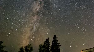 Preview wallpaper milky way, night, trees, stars, starry sky