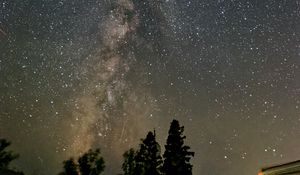 Preview wallpaper milky way, night, trees, stars, starry sky