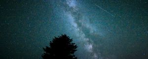 Preview wallpaper milky way, sky, tree, night