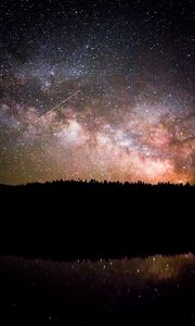 Preview wallpaper milky way, starry sky, forest, night