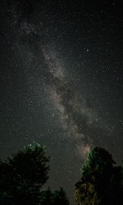 Preview wallpaper milky way, starry sky, night, trees