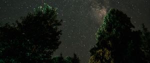 Preview wallpaper milky way, starry sky, night, trees