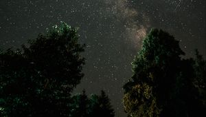Preview wallpaper milky way, starry sky, night, trees