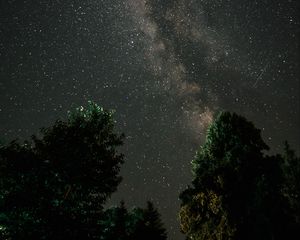 Preview wallpaper milky way, starry sky, night, trees