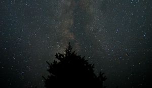 Preview wallpaper milky way, starry sky, night, tree, silhouette