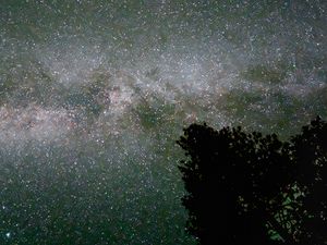 Preview wallpaper milky way, starry sky, sky, space, tree, comet