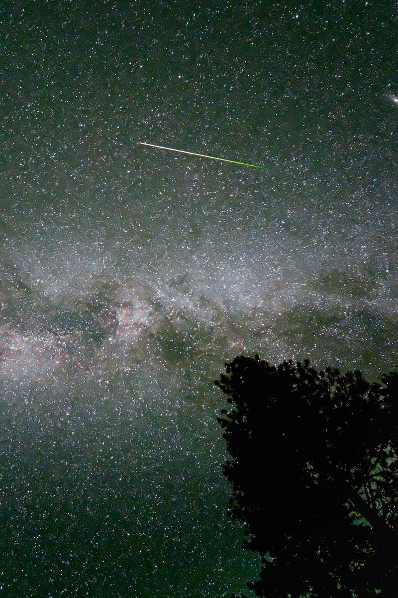 800x1200 Wallpaper milky way, starry sky, sky, space, tree, comet