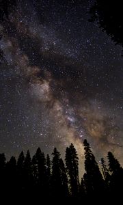 Preview wallpaper milky way, starry sky, stars, forest, night, dark