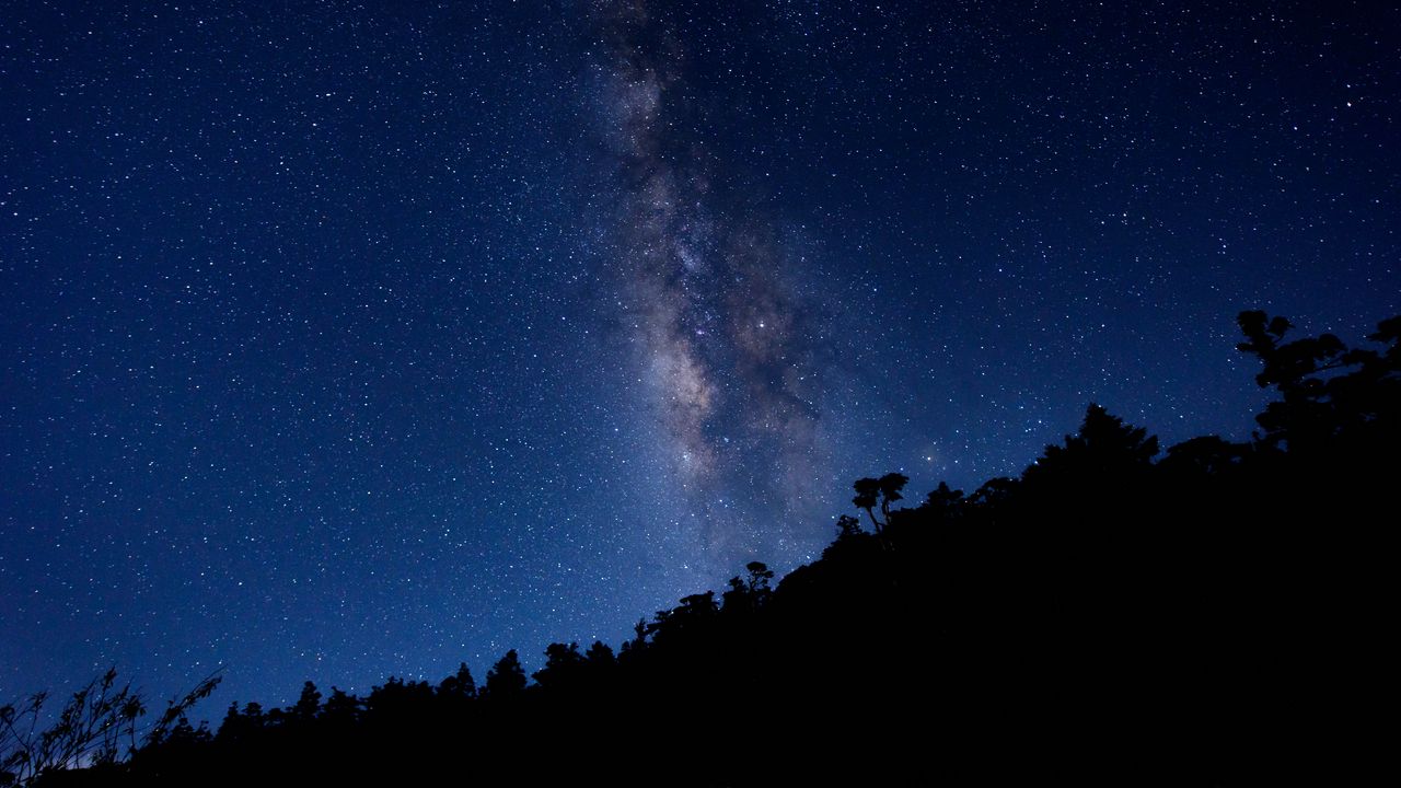 Wallpaper milky way, starry sky, trees