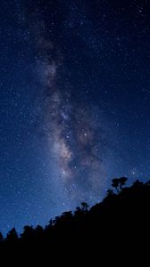 Preview wallpaper milky way, starry sky, trees