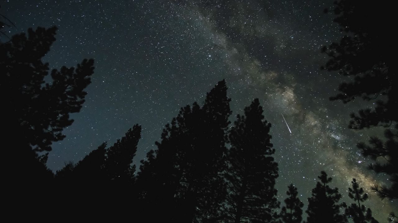 Wallpaper milky way, stars, forest, trees, night, dark