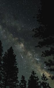 Preview wallpaper milky way, stars, forest, trees, night, dark