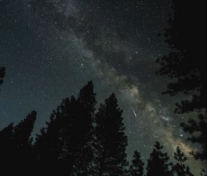 Preview wallpaper milky way, stars, forest, trees, night, dark