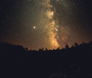 Preview wallpaper milky way, stars, night, trees, silhouettes, dark
