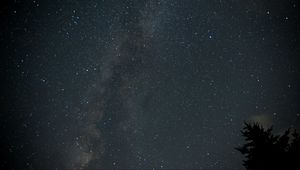 Preview wallpaper milky way, stars, night, tree, dark