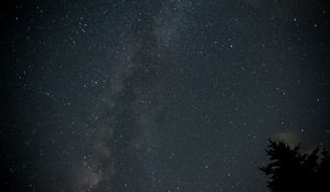 Preview wallpaper milky way, stars, night, tree, dark