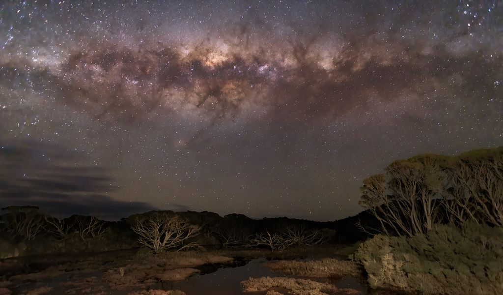 1024x600 Wallpaper milky way, stars, sky, space, trees, dark, landscape