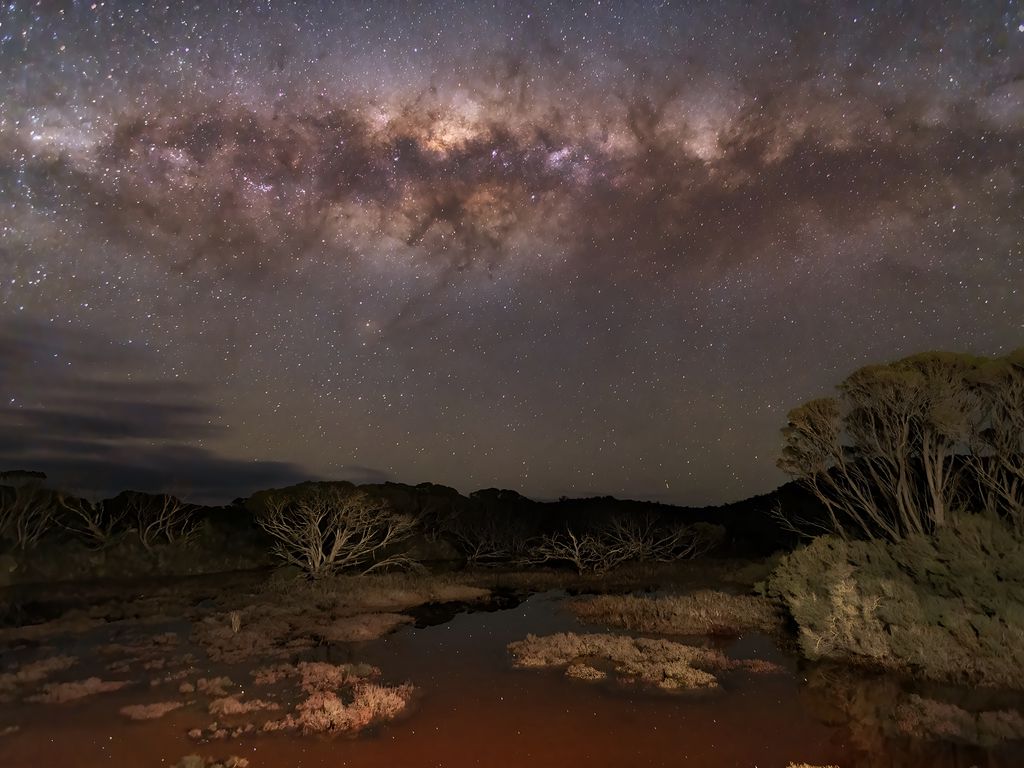 1024x768 Wallpaper milky way, stars, sky, space, trees, dark, landscape