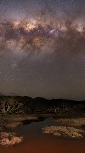 Preview wallpaper milky way, stars, sky, space, trees, dark, landscape