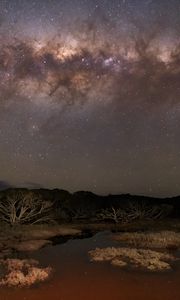 Preview wallpaper milky way, stars, sky, space, trees, dark, landscape