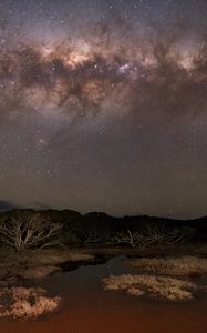 Preview wallpaper milky way, stars, sky, space, trees, dark, landscape