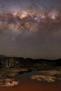 Preview wallpaper milky way, stars, sky, space, trees, dark, landscape
