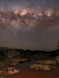 Preview wallpaper milky way, stars, sky, space, trees, dark, landscape