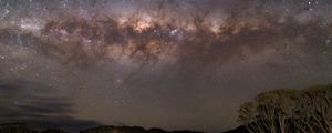 Preview wallpaper milky way, stars, sky, space, trees, dark, landscape