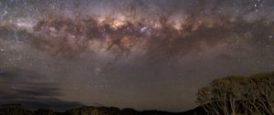 Preview wallpaper milky way, stars, sky, space, trees, dark, landscape
