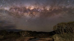 Preview wallpaper milky way, stars, sky, space, trees, dark, landscape
