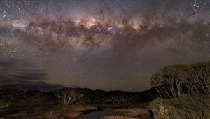 Preview wallpaper milky way, stars, sky, space, trees, dark, landscape