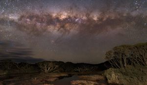 Preview wallpaper milky way, stars, sky, space, trees, dark, landscape