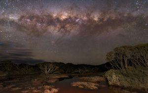 Preview wallpaper milky way, stars, sky, space, trees, dark, landscape