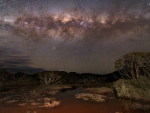 Preview wallpaper milky way, stars, sky, space, trees, dark, landscape