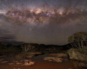 Preview wallpaper milky way, stars, sky, space, trees, dark, landscape
