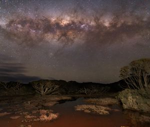 Preview wallpaper milky way, stars, sky, space, trees, dark, landscape