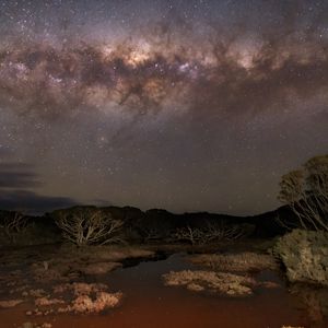 Preview wallpaper milky way, stars, sky, space, trees, dark, landscape