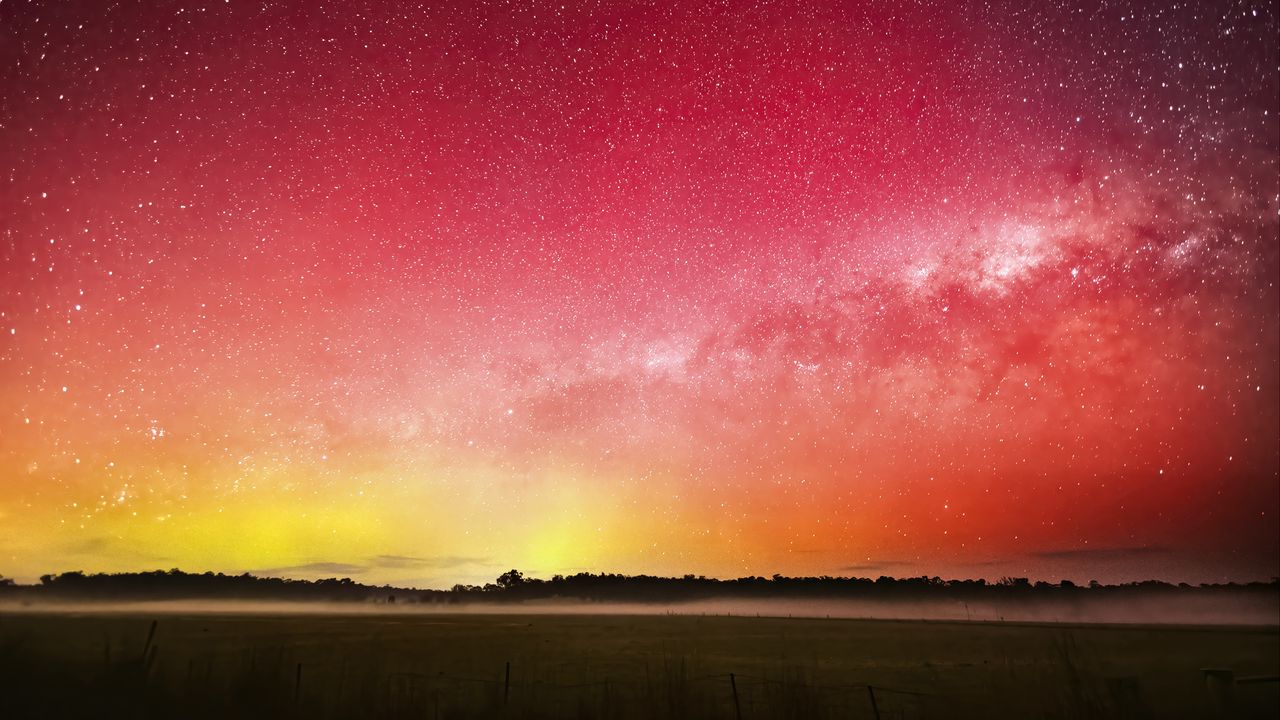 Wallpaper milky way, stars, starry sky, trees, night