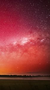 Preview wallpaper milky way, stars, starry sky, trees, night