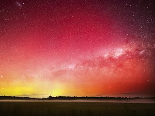 320x240 Wallpaper milky way, stars, starry sky, trees, night