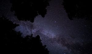 Preview wallpaper milky way, stars, starry sky, trees, night, dark